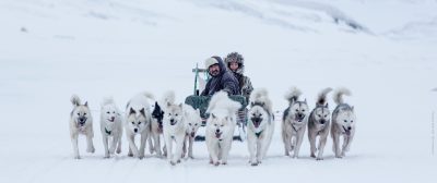 Dogsledding in Greenland